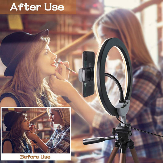 Professional 10-inch LED Ring light